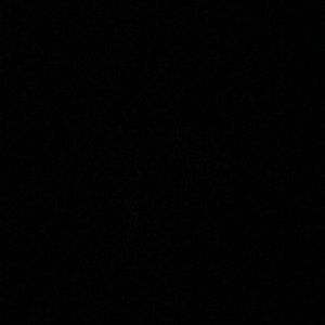 Meet your Posher, Peyton